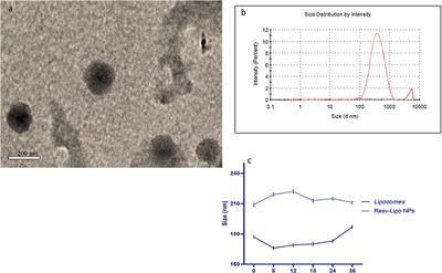 Impact of resveratrol-loaded liposomal nanocarriers on heat-stressed broiler chickens: Effects on performance, sirtuin expression, oxidative stress regulators, and muscle building factors